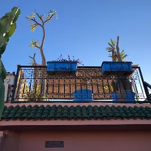 Rose Eternelle Marrakesch